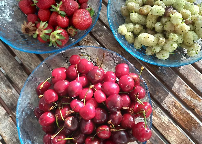 Albion Hotel Durrës