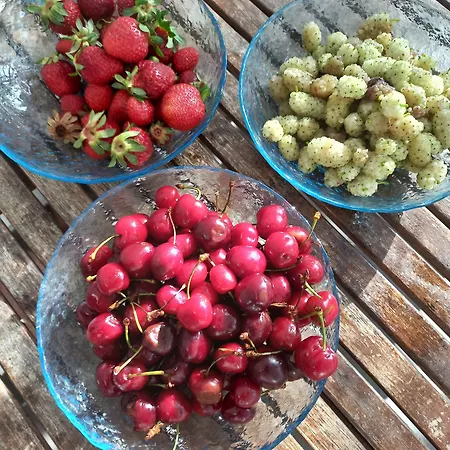 Albion Hotel Durrës